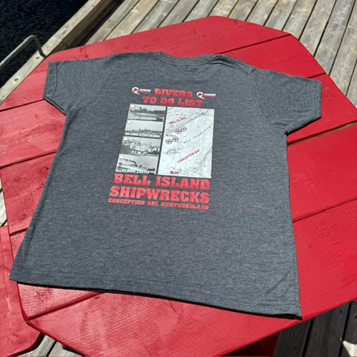 Wreck Checklist Tshirt Grey - L